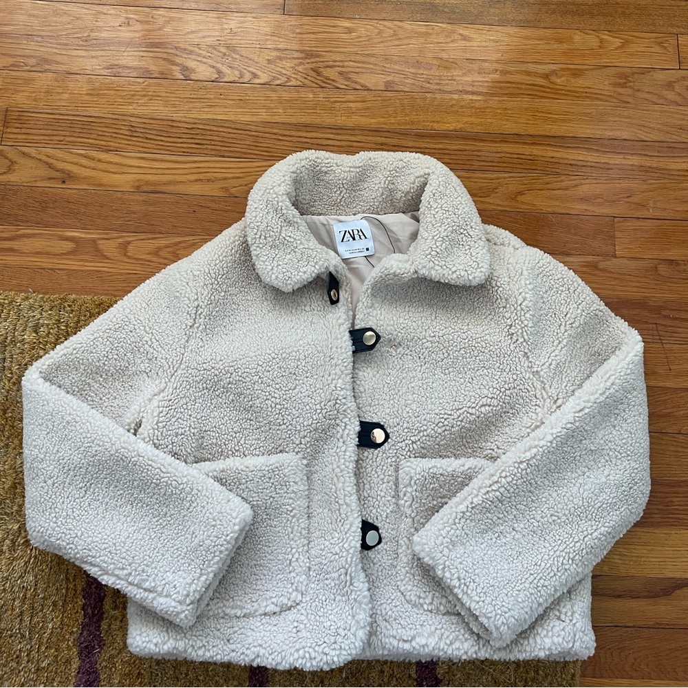 Zara Teddy Coat